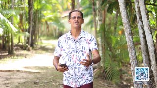 O Resgate do Soldado Ferido