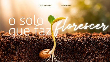 Solo Que Faz Florescer