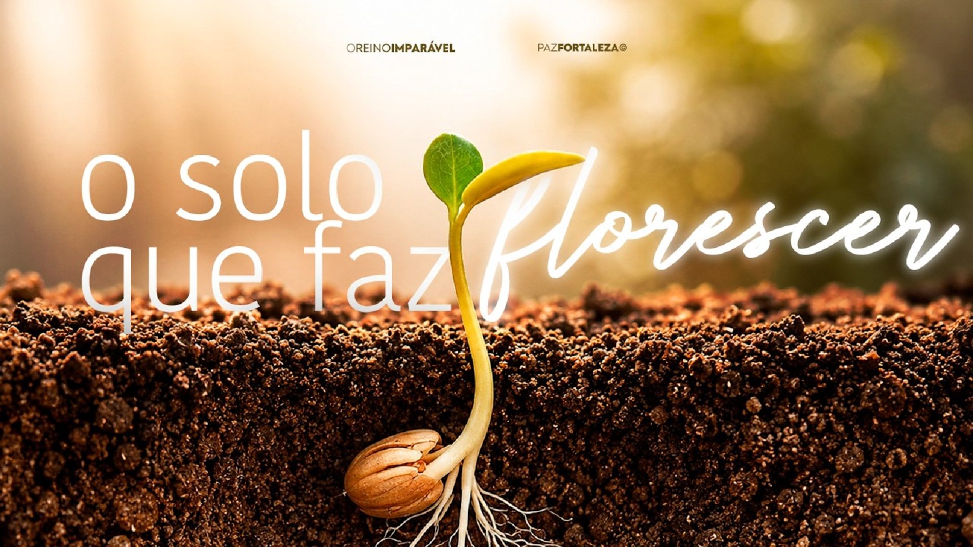 Solo Que Faz Florescer