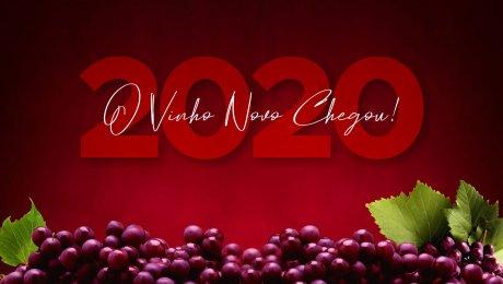 O Vinho Novo Chegou!
