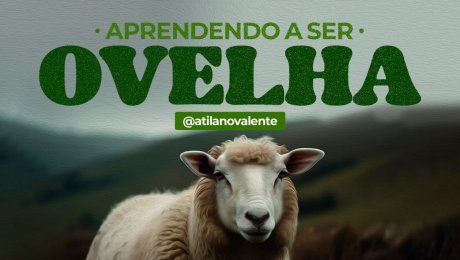 Aprendendo a Ser Ovelha