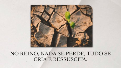 No Reino, Nada se Perde, Tudo se Cria e Ressuscita