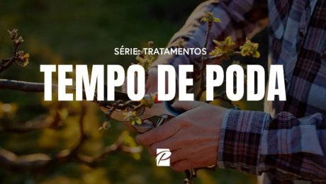 Série: Tratamentos // Tempo de Poda
