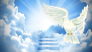 Fluindo no Espírito | Quero ir mais fundo
