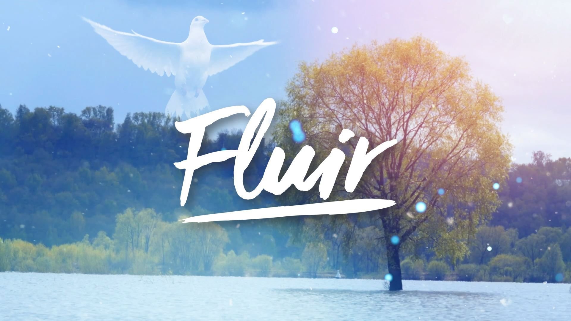 Fluir